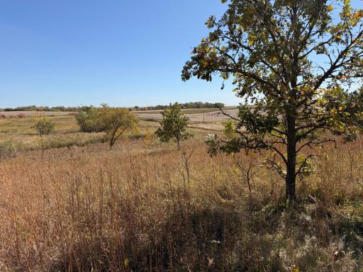 TBD CO Rd 33 NW, Evansville, MN 56326