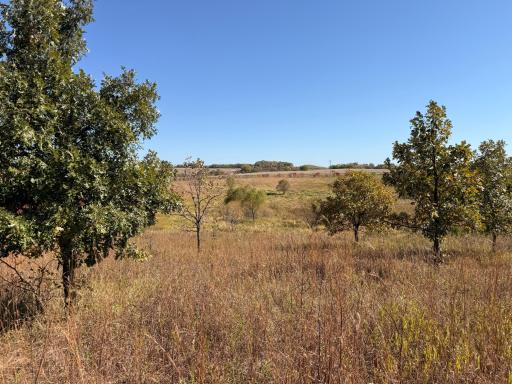 TBD CO Rd 33 NW, Evansville, MN 56326