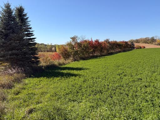 TBD CO Rd 33 NW, Evansville, MN 56326