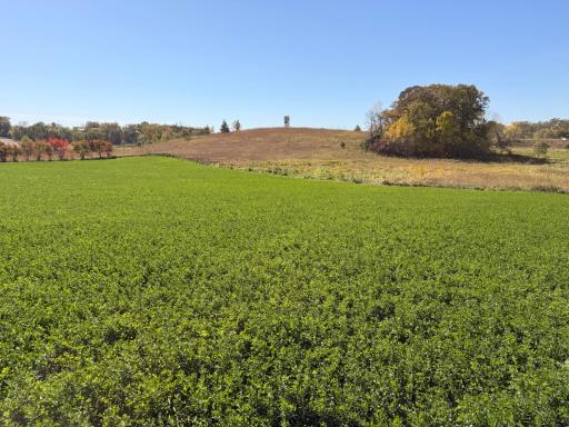 TBD CO Rd 33 NW, Evansville, MN 56326