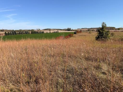 TBD CO Rd 33 NW, Evansville, MN 56326