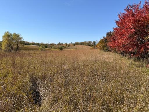 TBD CO Rd 33 NW, Evansville, MN 56326