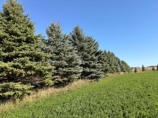 TBD CO Rd 33 NW, Evansville, MN 56326