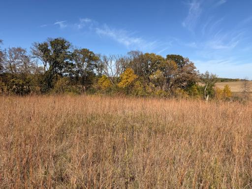 TBD CO Rd 33 NW, Evansville, MN 56326
