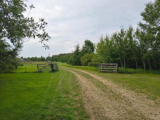 Photo for TBD Buckskin Road NE, Carlos, MN 56319 - listing #7127718 TBD Buckskin Road NE, Carlos, MN 56319