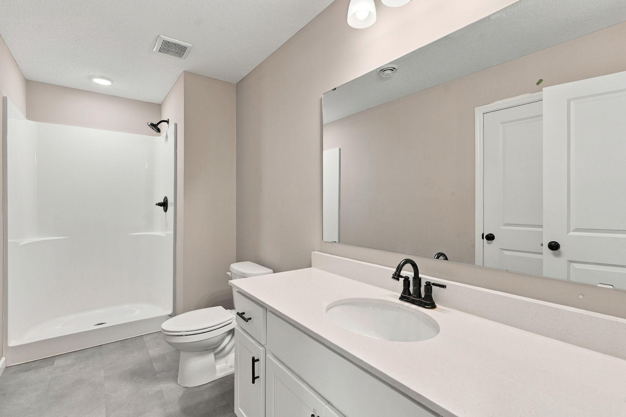 Lower level bathroom