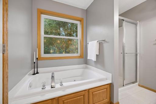 The primary bath and walk-in shower.