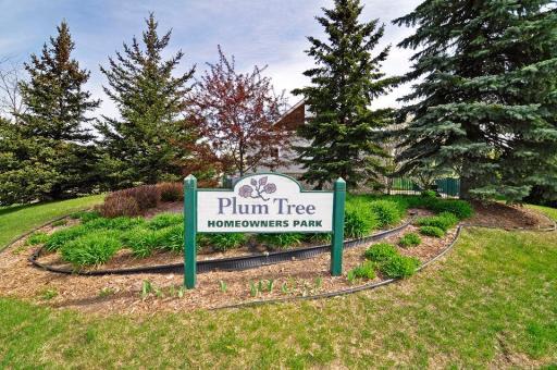 Plum Tree Neighborhood in Plymouth.