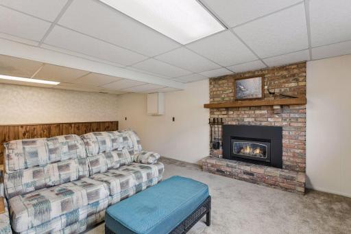756 Larson Court, Shoreview, MN 55126