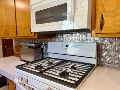 1008 Boxelder Street, Mountain Lake, MN 56159
