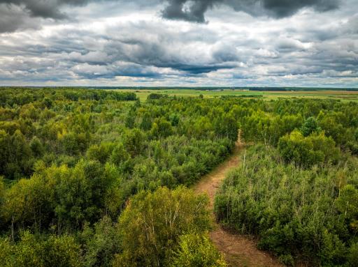000 State HWY 48, Hinckley, MN 55037