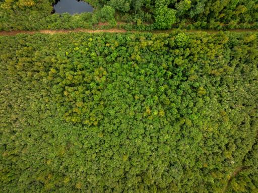 000 State HWY 48, Hinckley, MN 55037