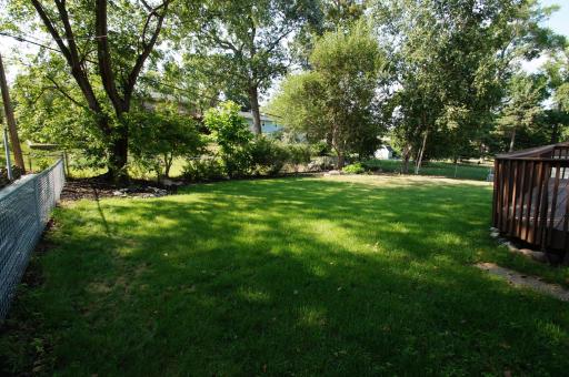 Beautiful Back Yard