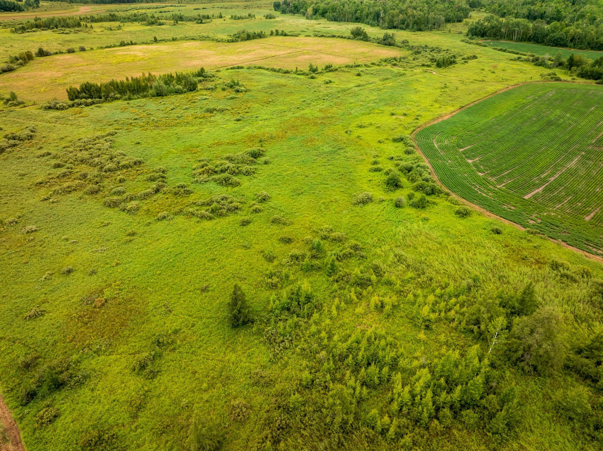 DJI_0122-HDR.jpg