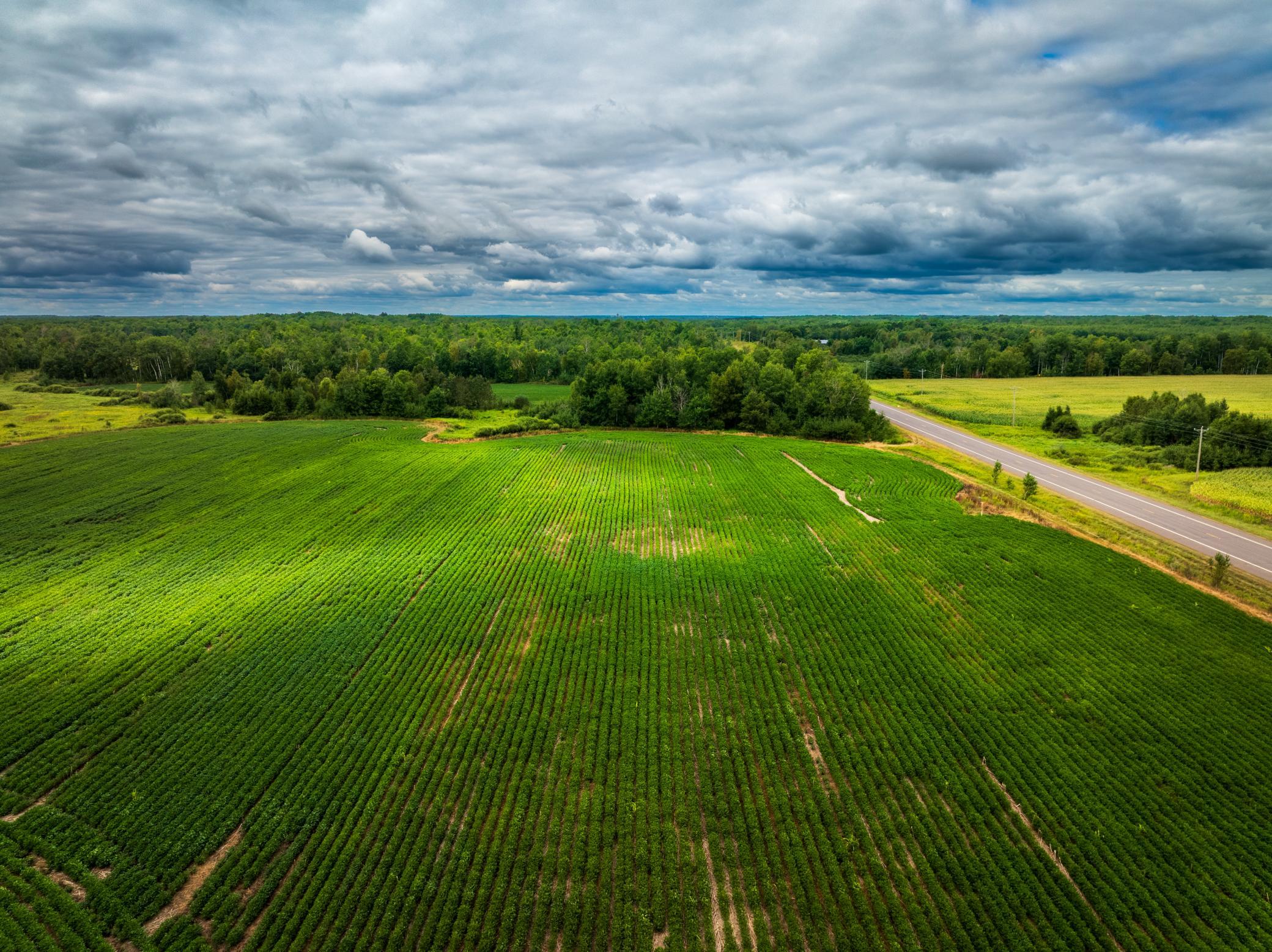 DJI_0142-HDR.jpg