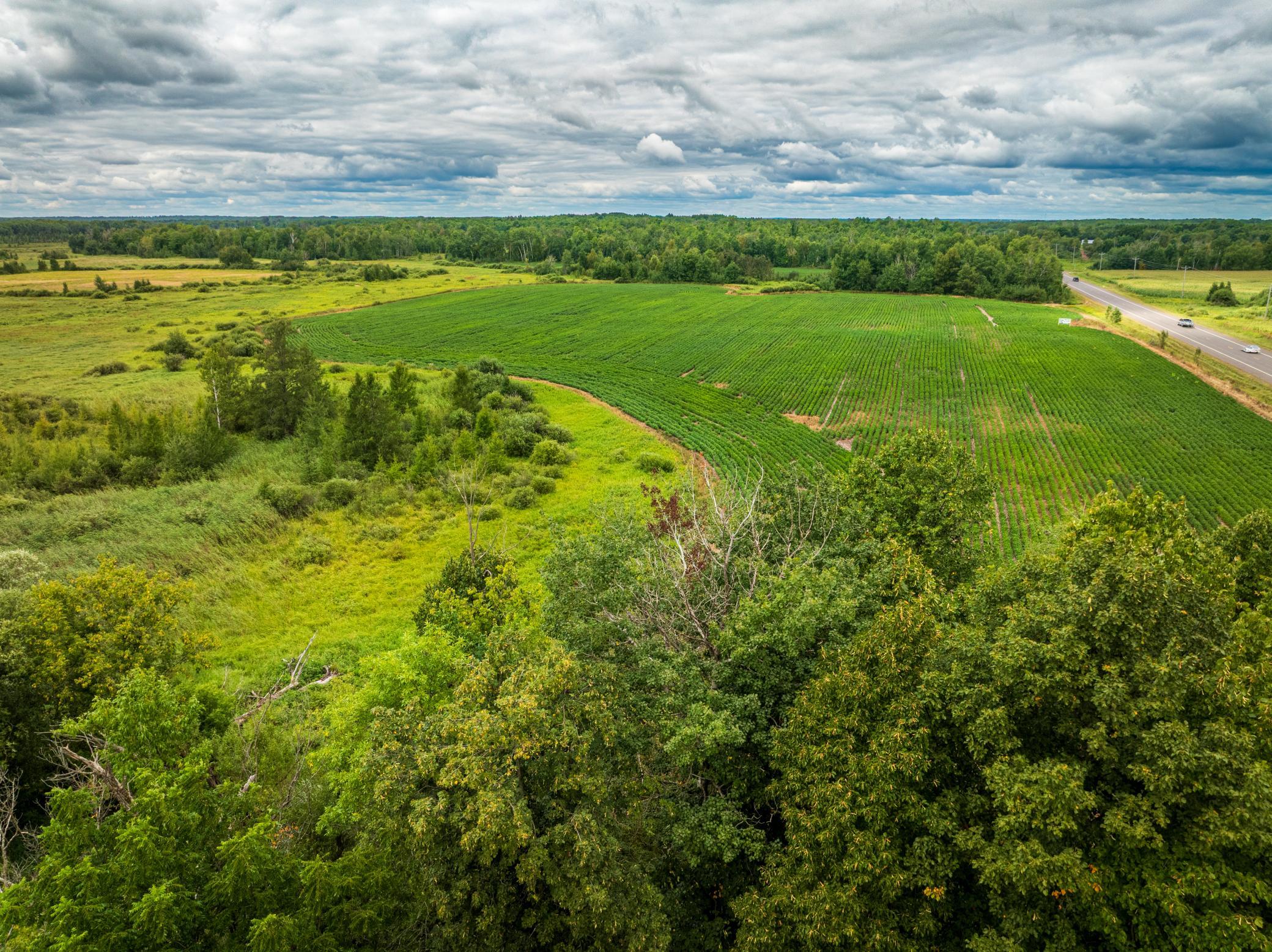 DJI_0137-HDR.jpg