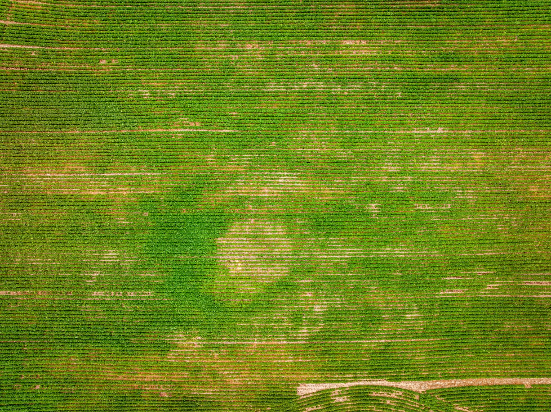 DJI_0117-HDR.jpg