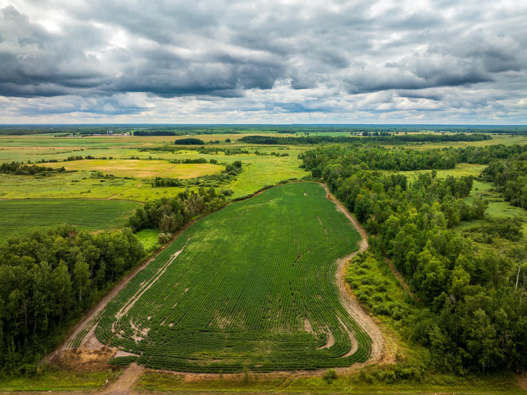 DJI_0152-HDR.jpg