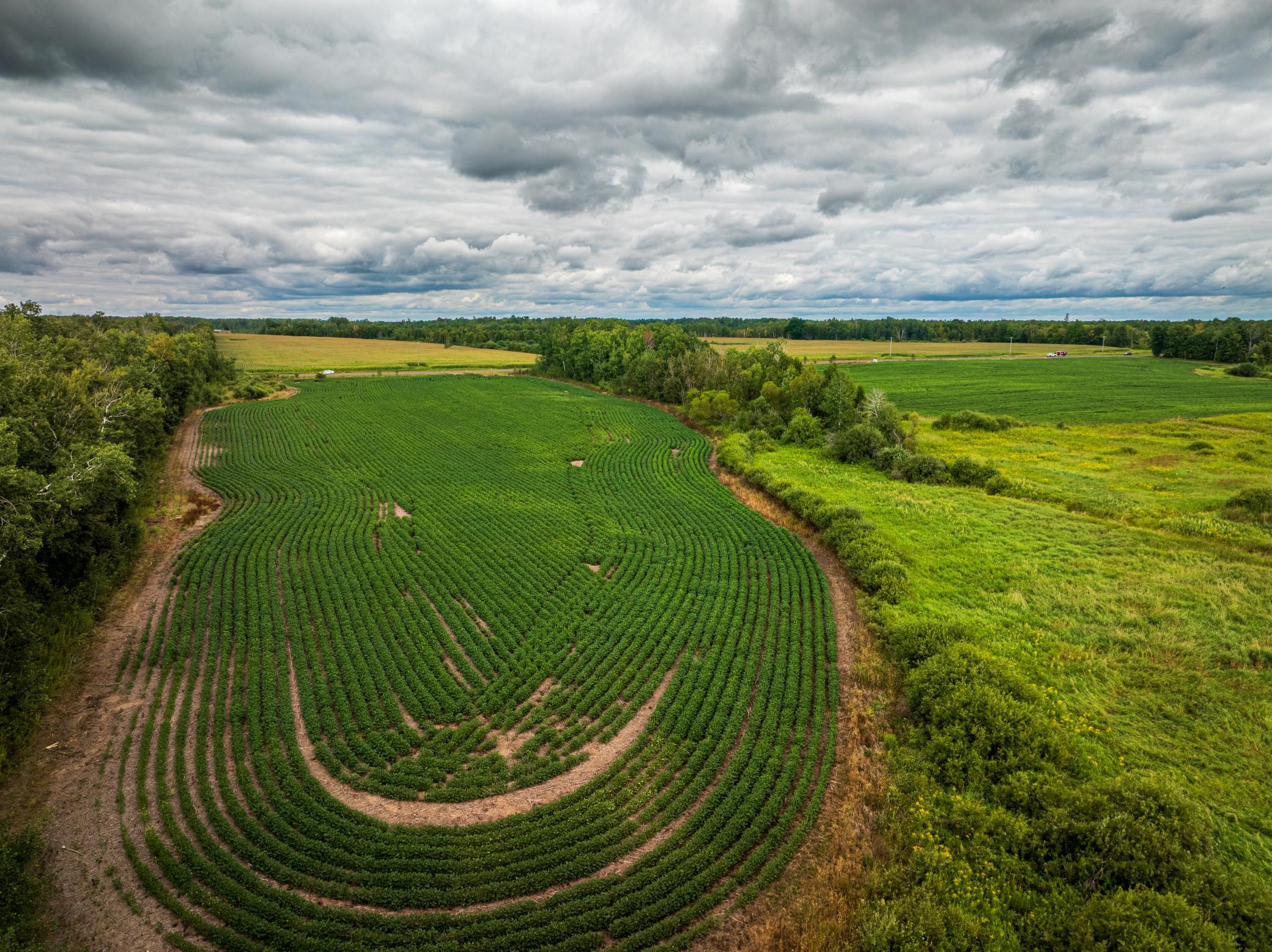 DJI_0212-HDR.jpg