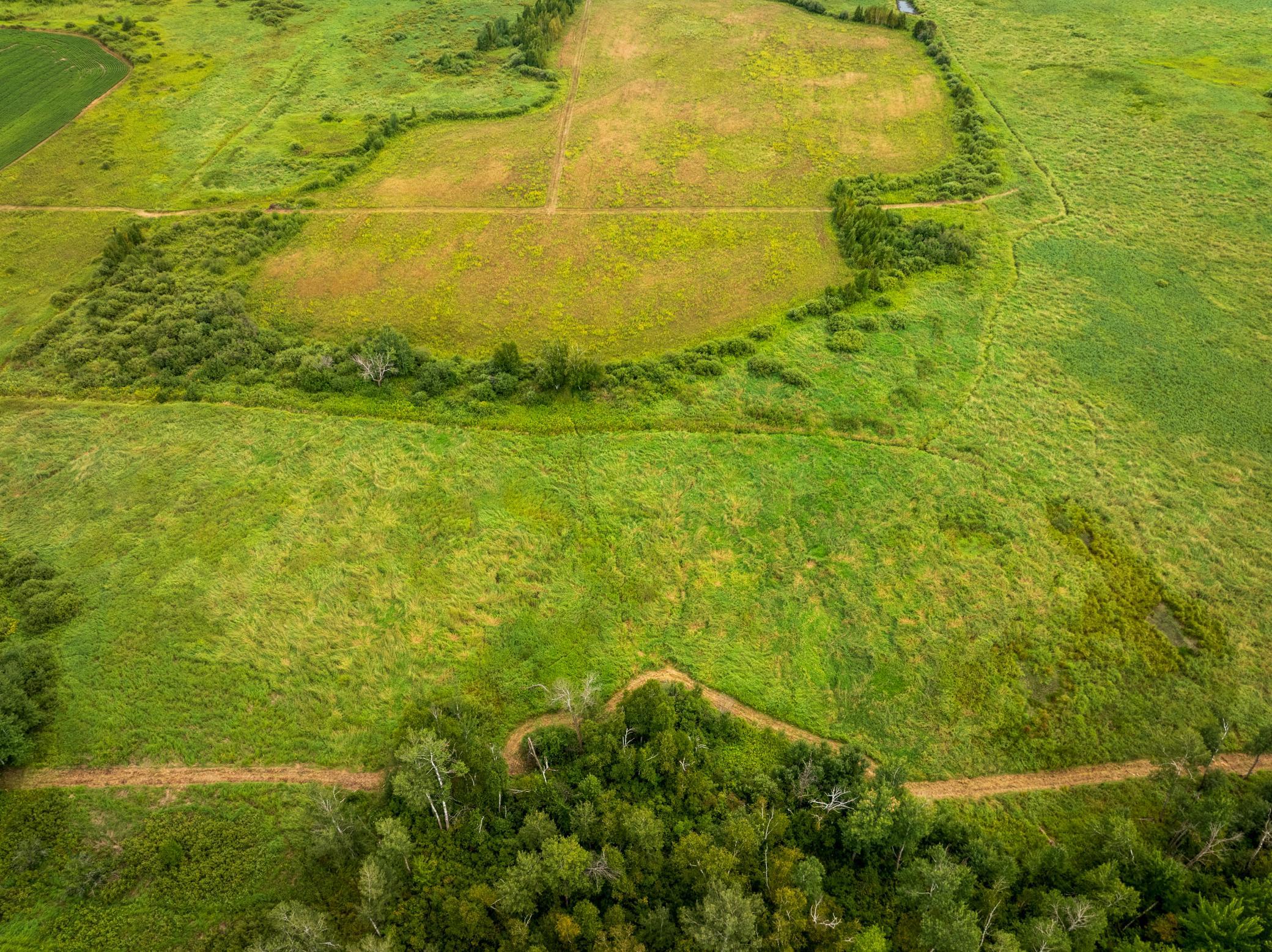 DJI_0162-HDR.jpg