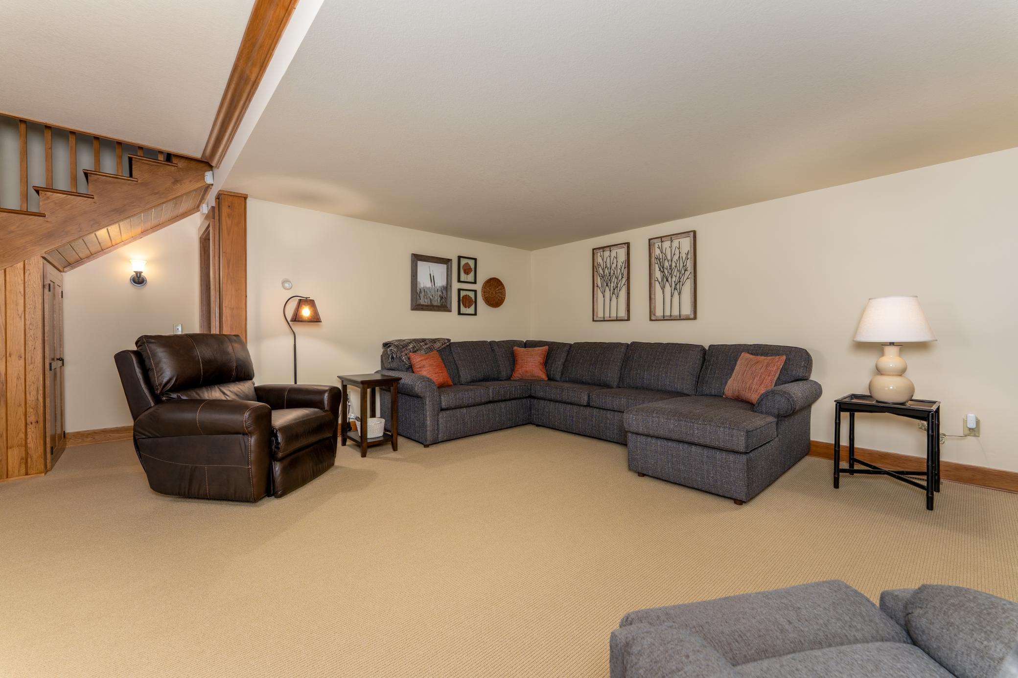 Lower level family room!