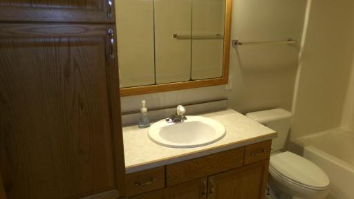 Basement Vanity, Stool.JPG