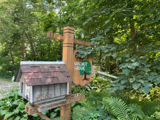 IMG_5747.jpeg