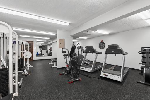205 Barry Avenue S, 306, Wayzata, MN 55391