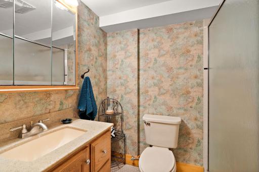 Lower Level 3/4 Bathroom