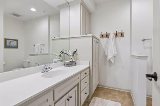 Lower level guest 3/4 bathroom.