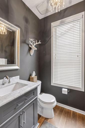 Tasteful guest main floor powder room.