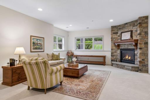 Lower level family room with gas fireplace!