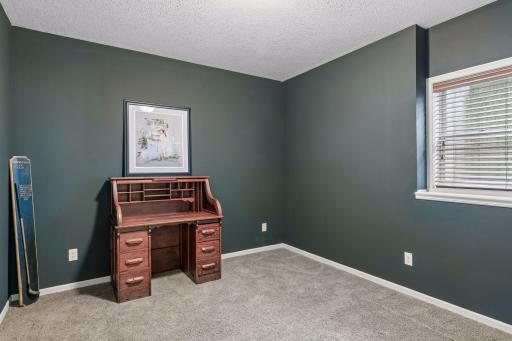 Lower level bonus room. Perfect dedicated office, exercise room, or hobby room.