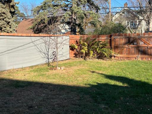 Back Yard