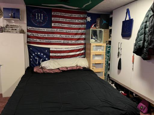 Basement Family room/bedroom