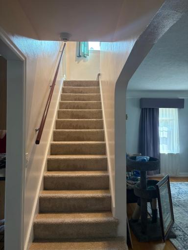 New Carpet upstairs