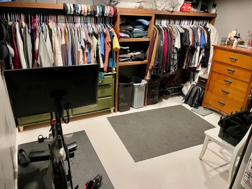 Utility/exercise/storage pic #2