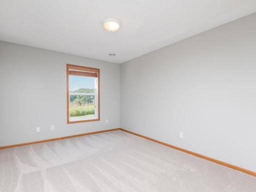 Spacious lower level 5th bedroom could be an office or nice for overnight guests.