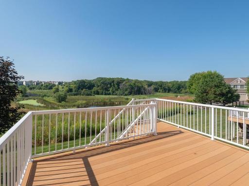 Stunning backyard views of the wetlands!