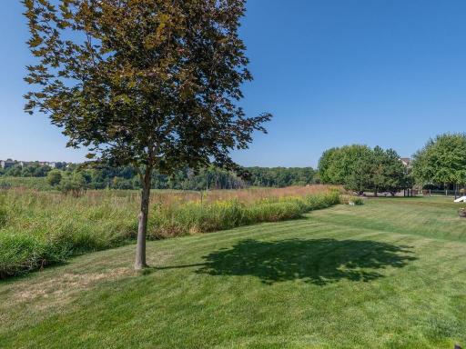 Picture perfect opportunity in The Preserve at Bluff Creek! Schedule your showing today!
