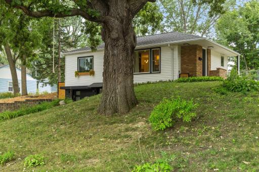 Huge, stately trees are staples in this sleeper stylish cool mid-century Golden Valley neighborhood running along 62-acre Sochacki Park - this one is yours!