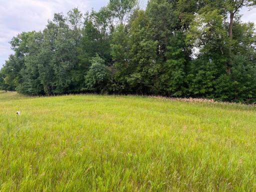 Photo for TBD 405th Avenue NW, Braham, MN 55006 - listing #7128043 TBD 405th Avenue NW, Braham, MN 55006