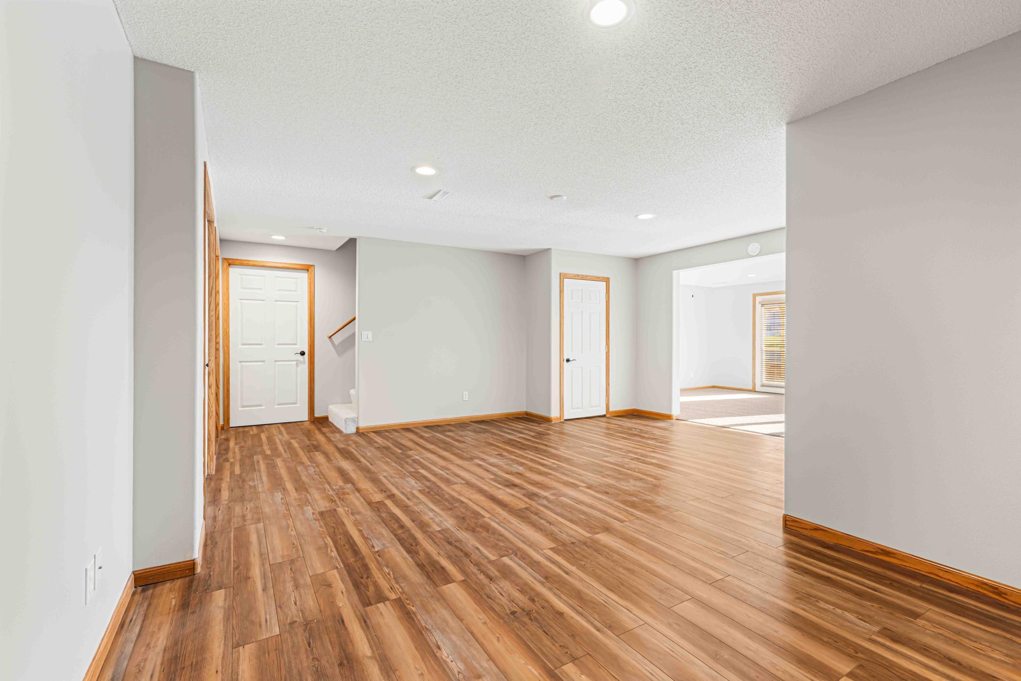Basement Family Room