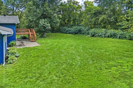 Wooded & Private Backyard