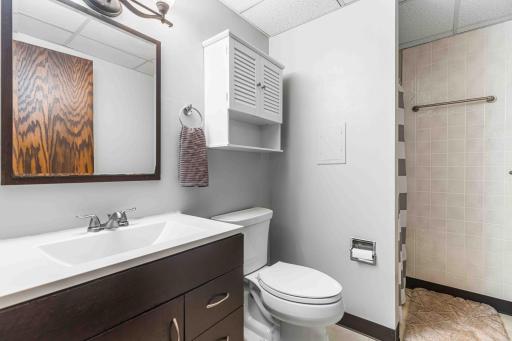 Lower Level Bathroom
