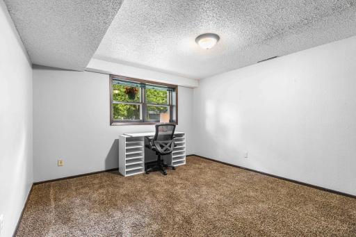 Lower Level Bedroom
