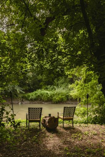 Backyard Tranquility