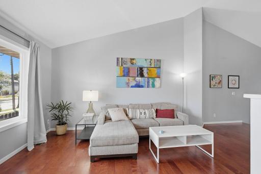 9-web-or-mls-2313_W_Territorial_Rd_201_Saint_Paul_MN_005.jpg