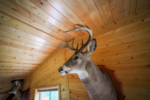 6991 Crane Lake Road, Crane Lake, MN 55725