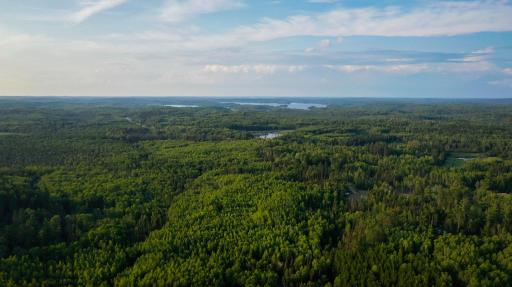 6991 Crane Lake Road, Crane Lake, MN 55725